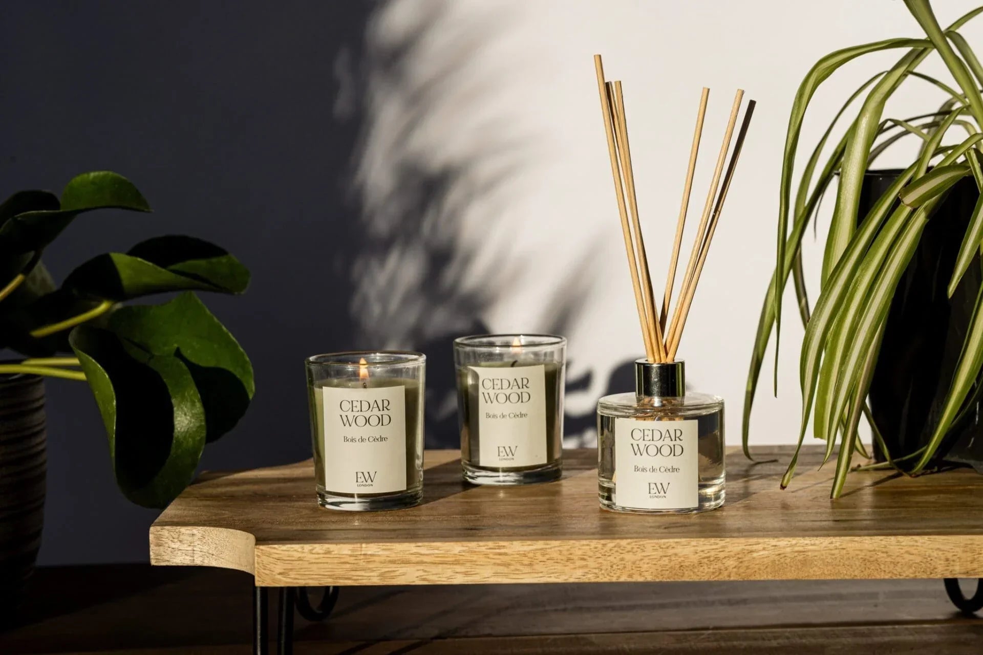 Unique Christmas Gift Ideas: Stand Out with These Creative Selections