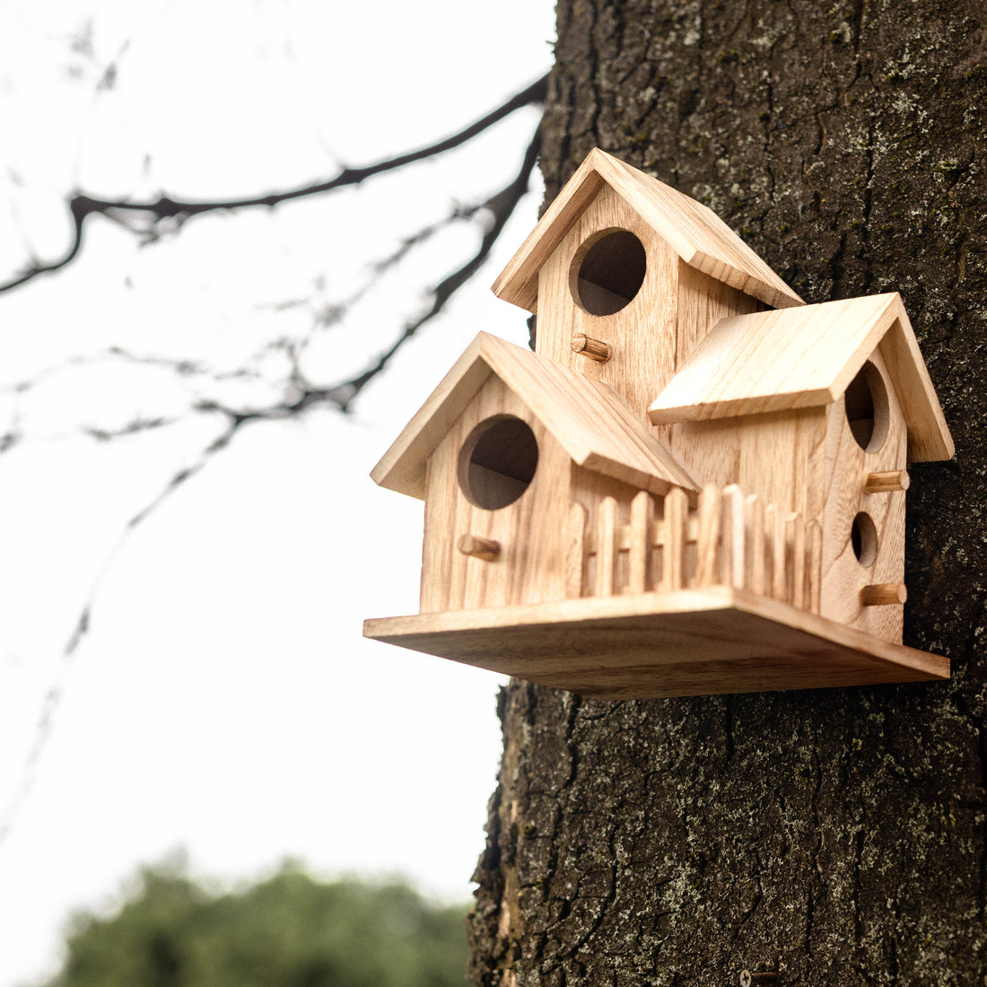 Bird House Bird Feeder