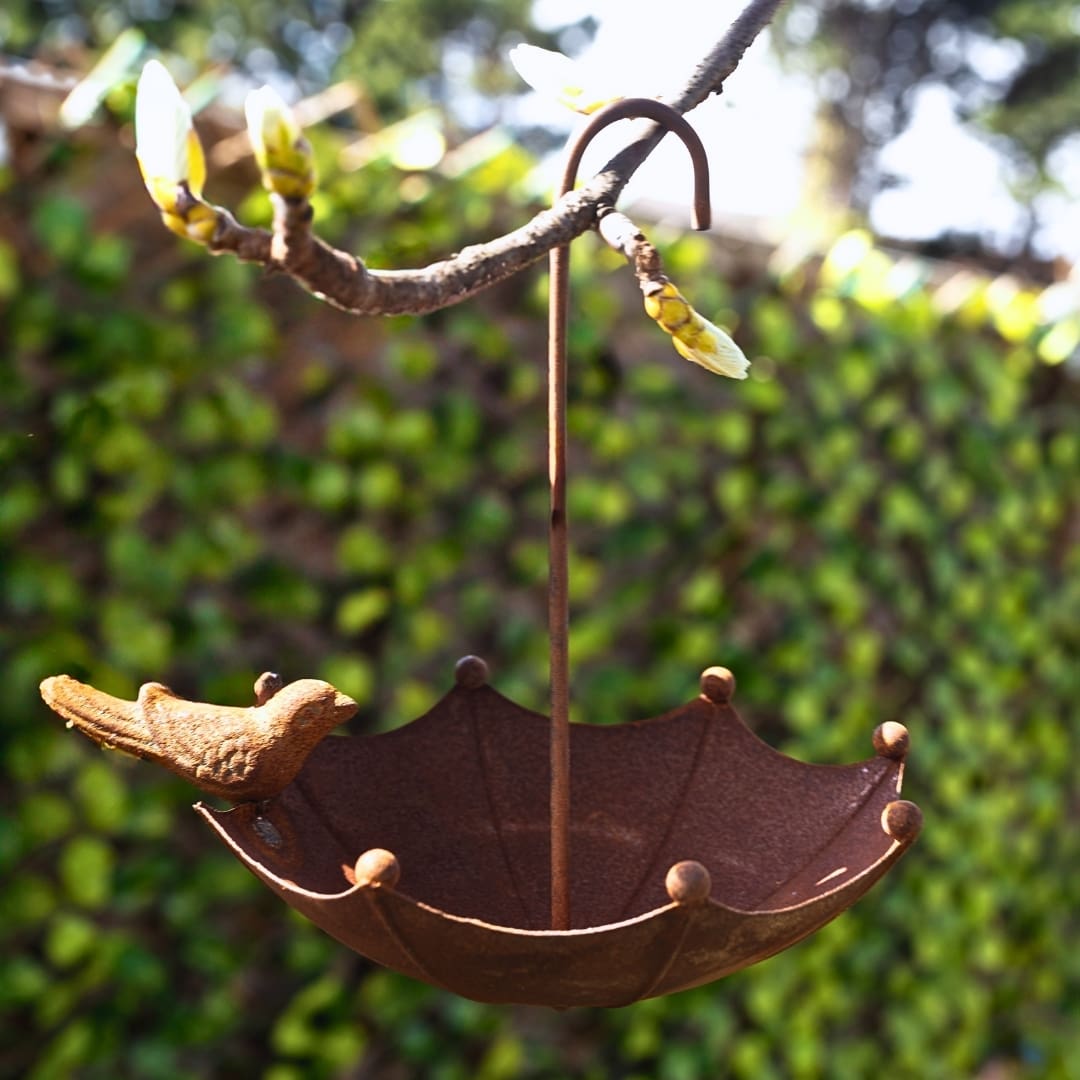 Best Bird Baths: Top Picks for Your Feathered Friends