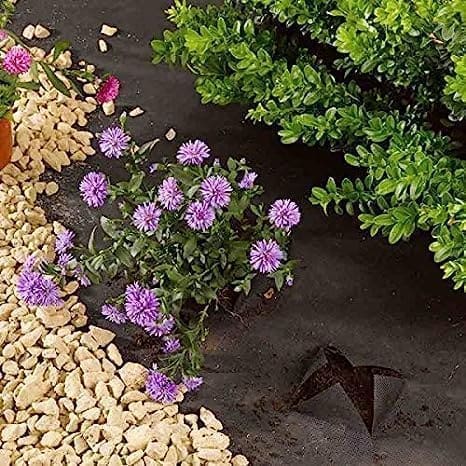 Maximize Your Garden's Potential Benefits of Using Weed Fabric