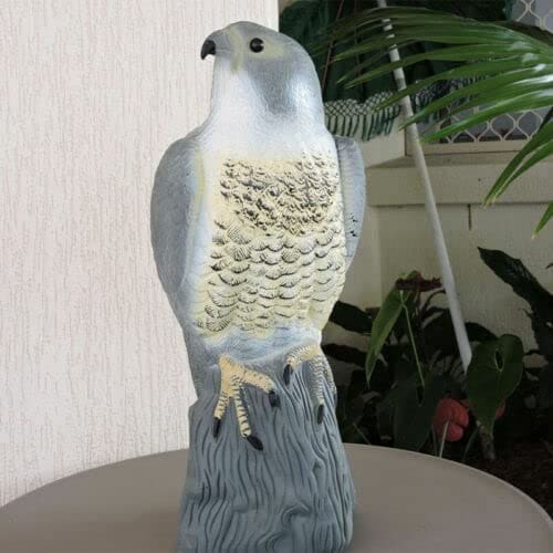 How Do Bird Scarers Work: A Clear Explanation