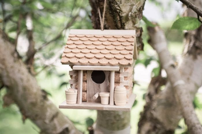 Best Bird Boxes: Top Picks for Your Feathered Friends