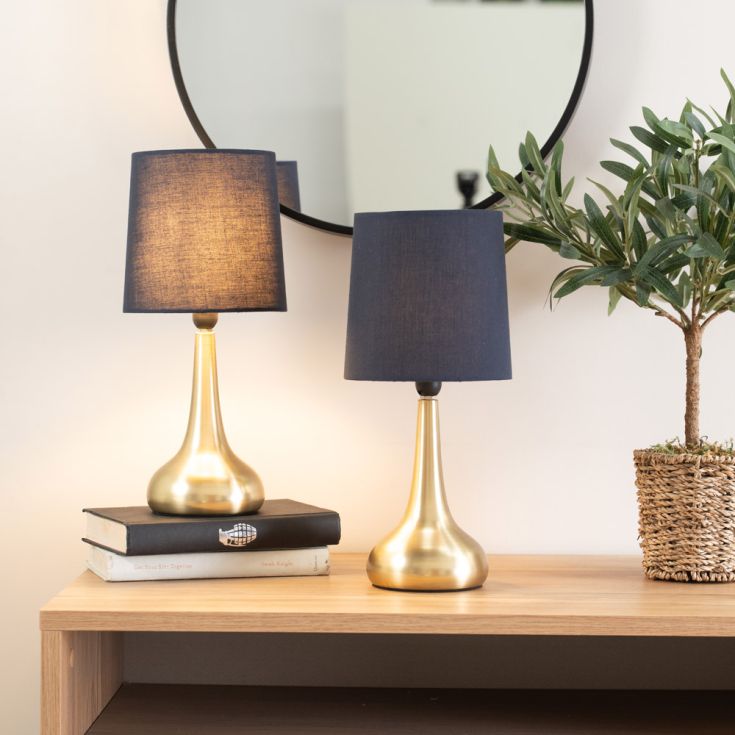 Two table lamps blue and gold on table top one on a book with tree and black mirror