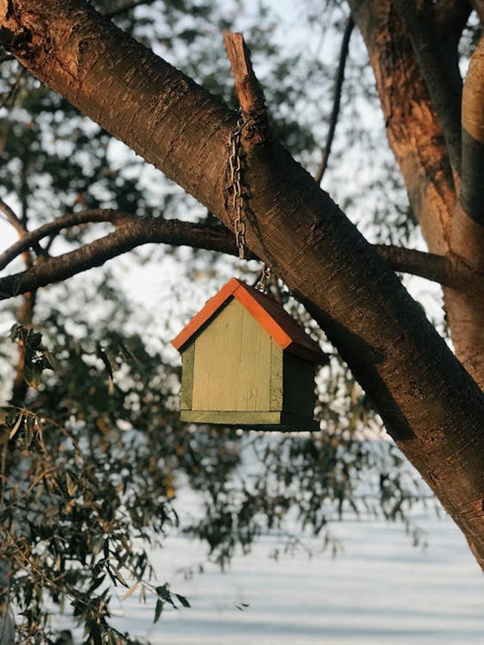Bird Houses & Boxes