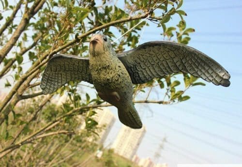 Bird Scarers & Deterrents