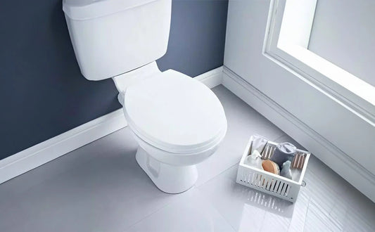 Toilet Seats & Accessories