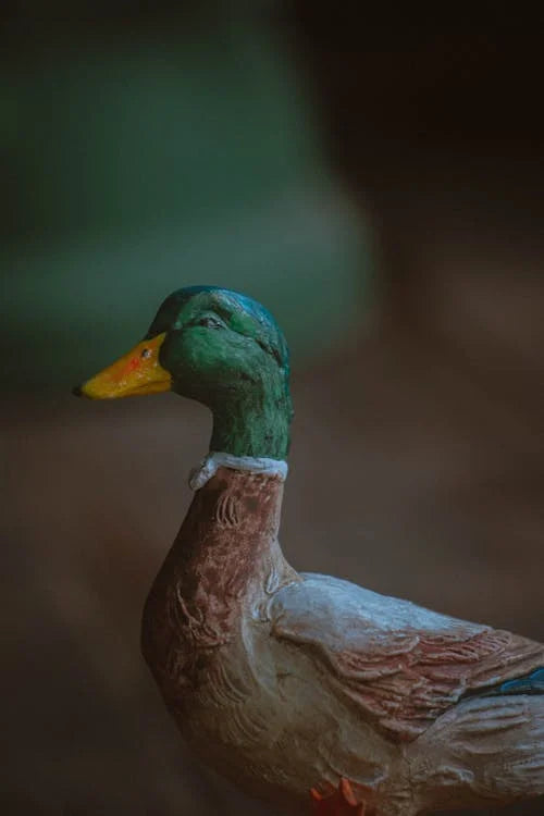 Duck Garden Ornaments