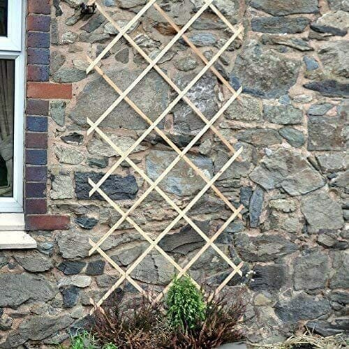 Trellis for Live Plants
