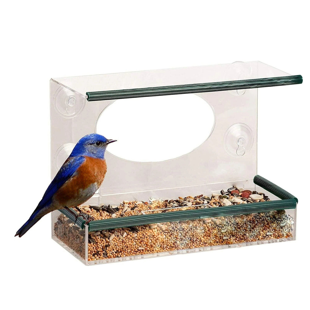 Clear Perspex Window Mounted Bird Feeder Suction