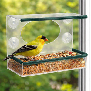 Clear Perspex Window Mounted Bird Feeder Suction