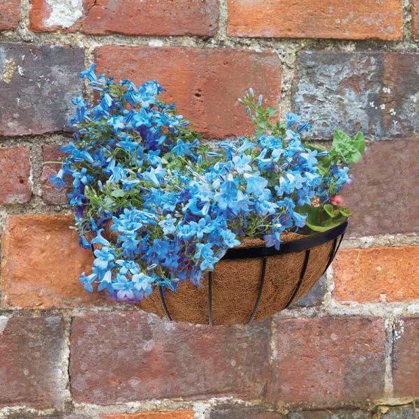 Black wall hanging flower basket with coco liner.