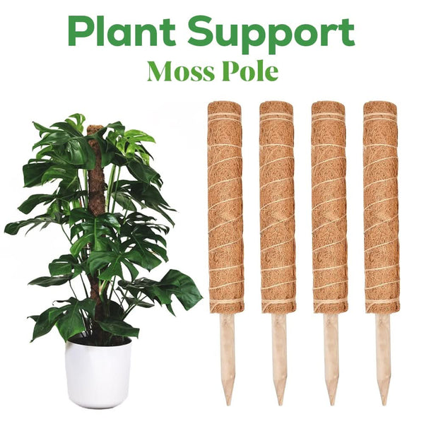 Stackable moss poles supporting climbing houseplant