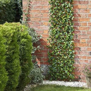 180 x 90cm artificial lemon leaf expandable willow trellis