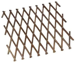 Wooden trellis supporting climbing garden plants