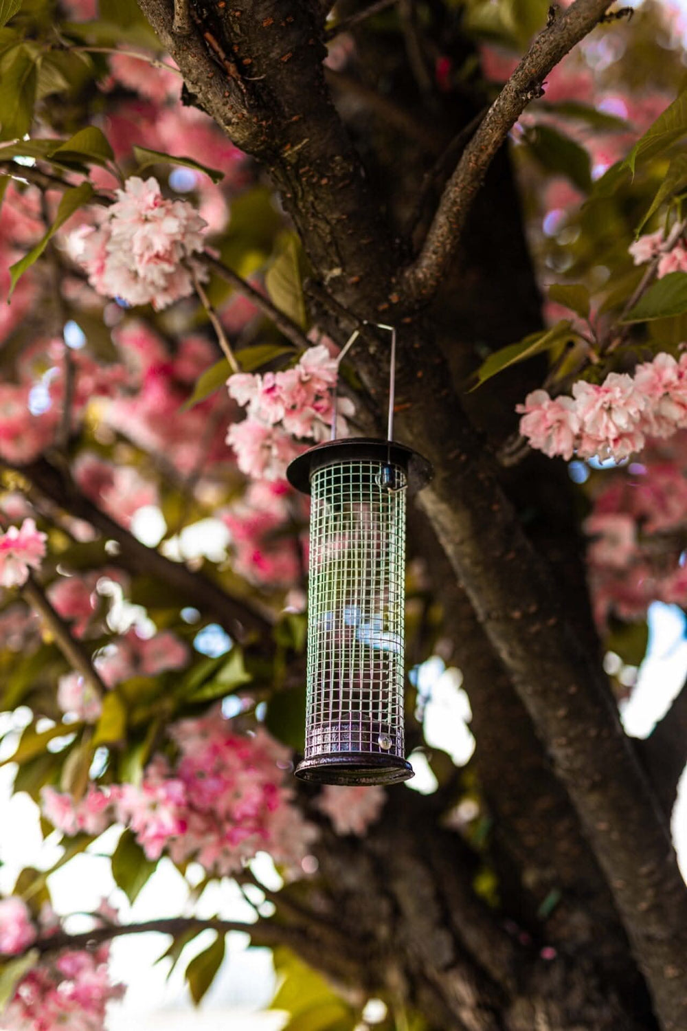 23cm metal hanging nut bird feeder for wild birds