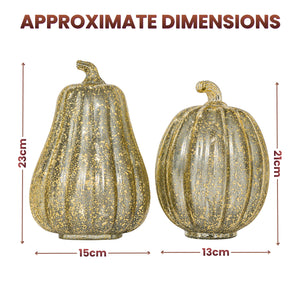 Two decorative faux pumpkins shown with approximate dimension labels: a larger pear-shaped pumpkin at 23 cm height by 15 cm width, and a smaller ribbed pumpkin at 21 cm height by 13 cm width, on a white background with the heading 'APPROXIMATE DIMENSIONS'.