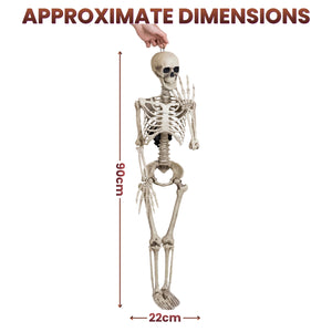 A full-body human skeleton model shown on a white background with overlaid dimension arrows and text reading “APPROXIMATE DIMENSIONS,” plus height 90 cm and width 22 cm. A hand is touching the top of the skull to demonstrate scale.