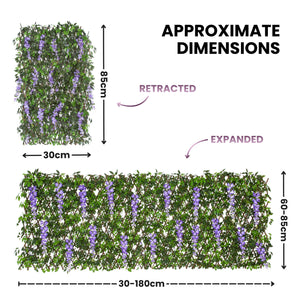 Approximate dimensions diagram for a green leafy wall vine with purple flowers, showing the retracted and expanded states with measurements in centimeters on a white background.