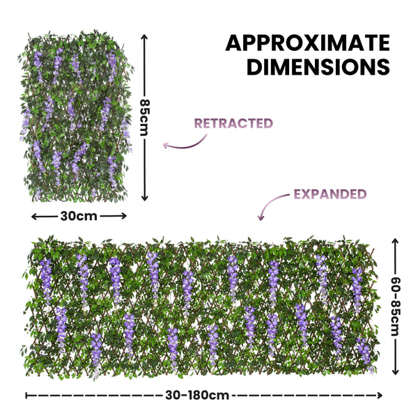 Approximate dimensions diagram for a green leafy wall vine with purple flowers, showing the retracted and expanded states with measurements in centimeters on a white background.