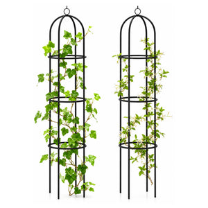 Two black metal arched trellis stands shown on a white background, each with green ivy climbing up them.