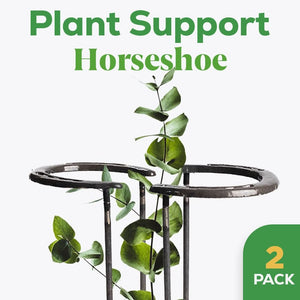 Horseshoe plant stakes supporting garden flowers