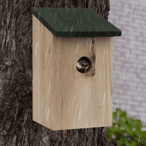 Green bird house mounted on an outdoor wall