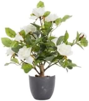 Regent's Rose Potted Plant Home Garden Faux Flowers - White 40cm