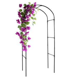 Black metal garden arch with purple flowers and green leaves on a white background