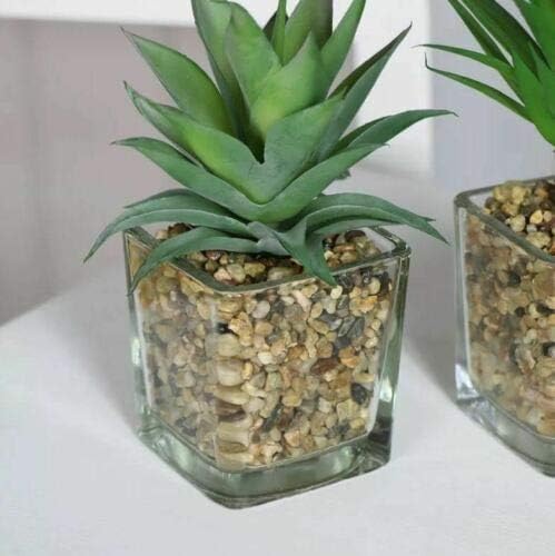 Hexagonal glass vase with a succulent plant on a white surface