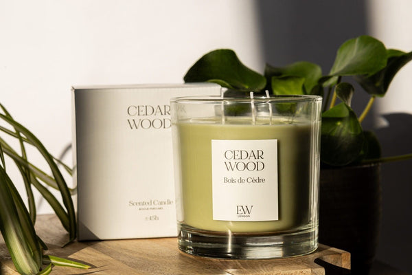 45 hour cedarwood candle with three cotton wicks