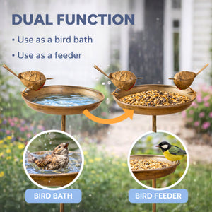 Robin Bird Bath & Feeder Stake for Garden Birds, Outdoor Wildlife & Patio Decor