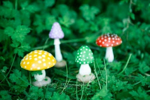 Four colourful resin mushroom garden ornaments in various sizes