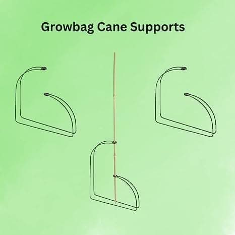 Growth Supporting Cane Connectors & Supports