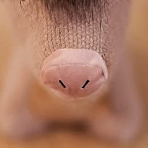 Novelty Angus The Cow Door Stop Plush Soft Fabric