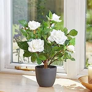 Regent's Rose Potted Plant Home Garden Faux Flowers - White 40cm