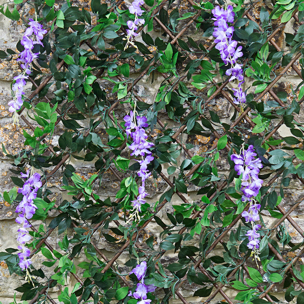 Purple wisteria flowers with green leaves climbing up a brown lattice trellis against a rustic stone wall.