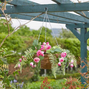 Hanging Basket Garden Décor