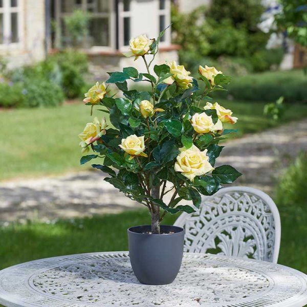 Regent's Rose Potted Plant Home Garden Faux Flowers - Yellow 60cm