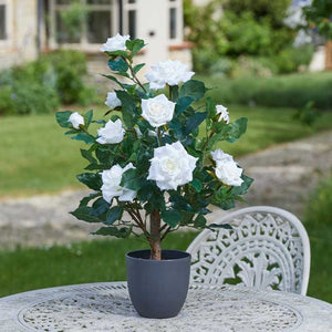 Artificial Regent Rose Potted Plant Tree Faux Flowers - 60cm White