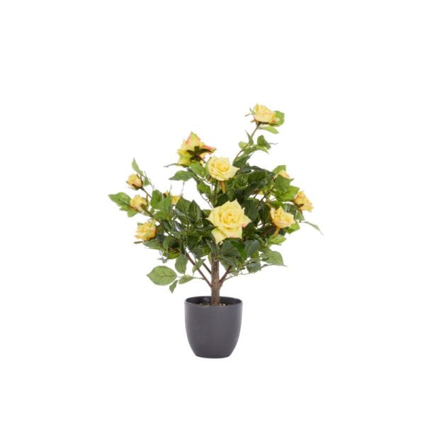 Regent's Rose Potted Plant Home Garden Faux Flowers - Yellow 60cm