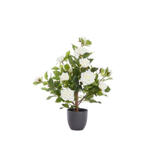 Artificial Regent Rose Potted Plant Tree Faux Flowers - 60cm White