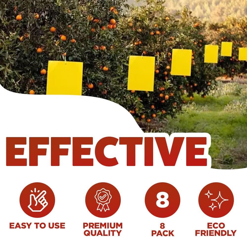 Sticky Insect Paper Large Sticky Paper Pest Control Insect Glue Traps 8 Pack