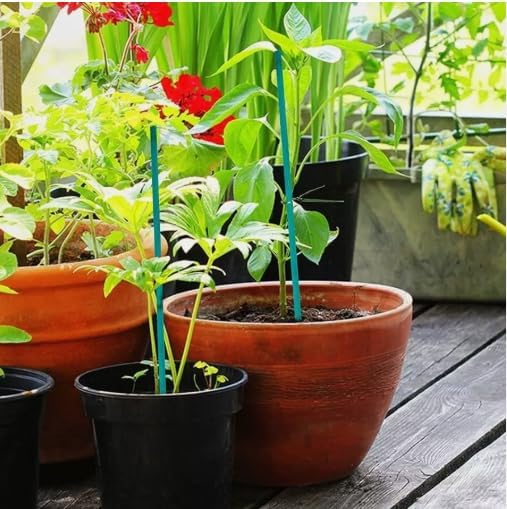Pack of 25 green bamboo plant support canes.