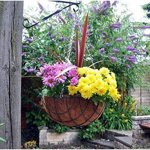 Round Hanging Basket - Pack of 10