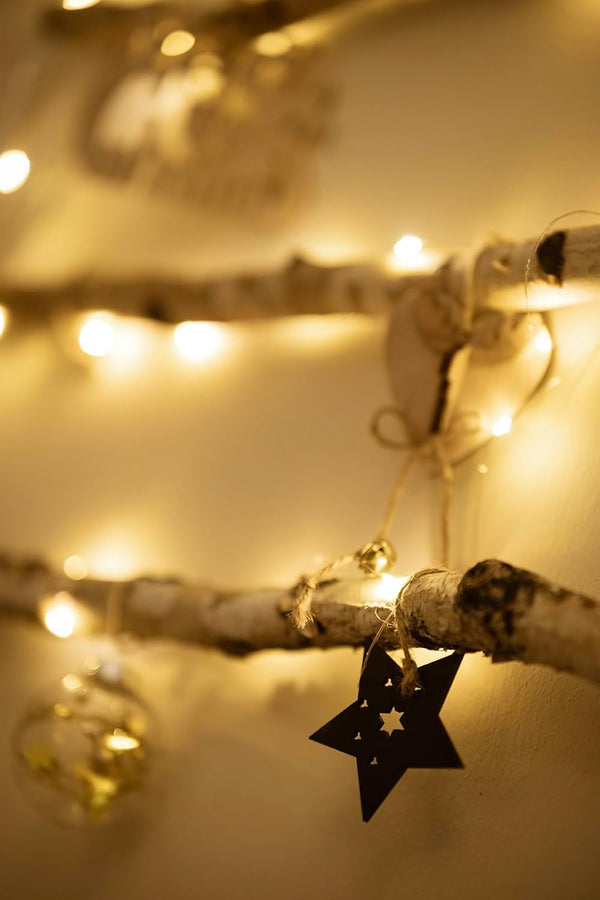 Decorative string lights with a star-shaped ornament on a branch.