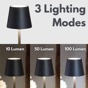Black lamp with three lighting modes labeled '10 Lumen', '50 Lumen', and '100 Lumen' on a white background.