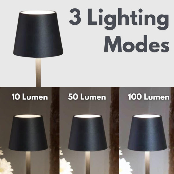 Black lamp with three lighting modes labeled '10 Lumen', '50 Lumen', and '100 Lumen' on a white background.
