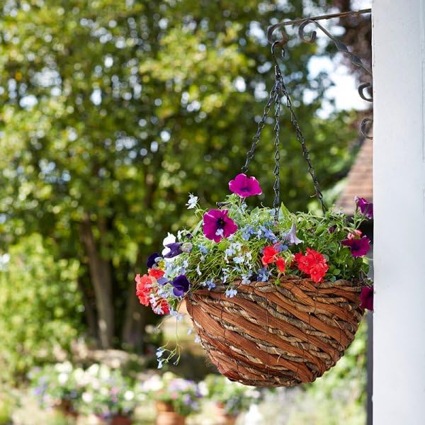 Hanging flower basket with colorful flowers against a blurred green garden background