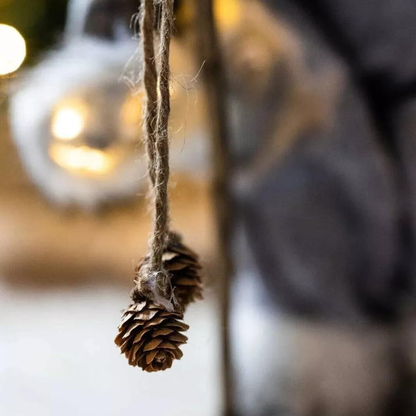 Dried pine cone hanging from string with blurred lights in the background