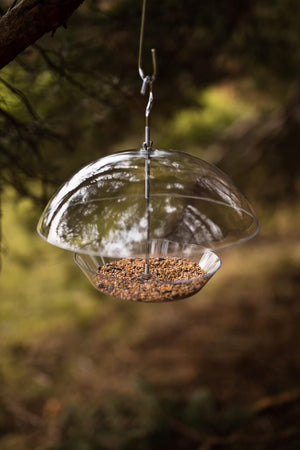 A clear dome-shaped bird feeder hanging from a metal hook outdoors, filled with brown seeds, with a blurred forest background.